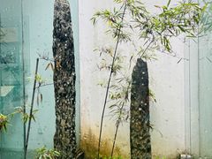 -苏州园林博物馆