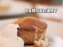 -猫里有甜