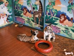 -杭州野生动物世界