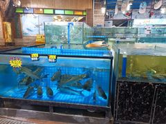-绿雅居原生态农庄(小涌店)