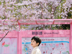 -高东镇樱花园
