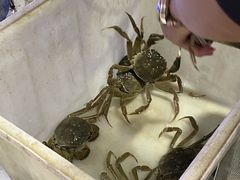 -黄记大闸蟹专卖店·活蟹·醉蟹