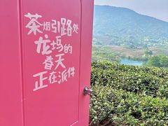 -龙坞茶村