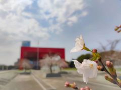 -中国浦东干部学院