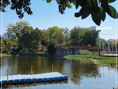 -荔湾湖公园