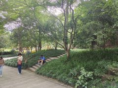 -杭州少年儿童公园