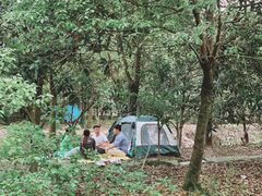 -塘栖枇杷特色园区