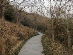 -天目湖涵田度假村