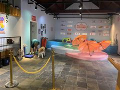 -太阳岛度假酒店