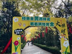 -大槐树寻根祭祖园
