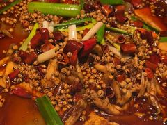 -宽口美蛙鱼头(大唐西市店)