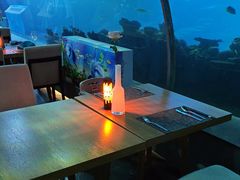 -海棠湾洲际-涛·海底餐厅·美人鱼·自助餐·海底隧道