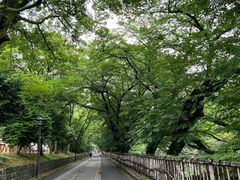 -名古屋城