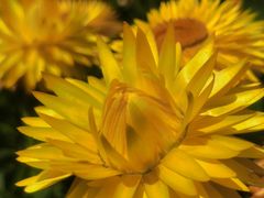 -紫竹院公园-东门停车场