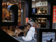 -滇藏石锅宴(崇仁巷老店)