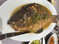 黄河大鲤鱼-商都酒店( 北京南站店)