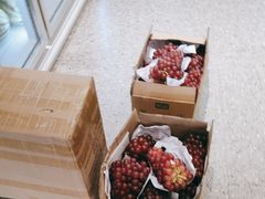 -雾与山茶(大禹城店)