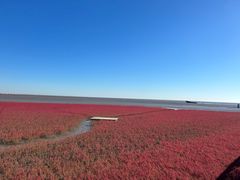 -红海滩国家风景廊道