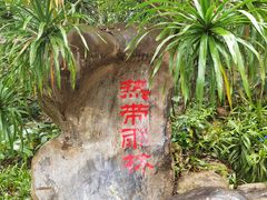 -中国科学院西双版纳热带植物园