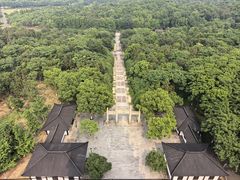 -宜兴龙背山森林公园
