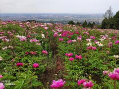 -金堂县云顶石城风景区