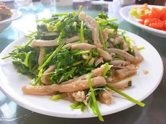 芫爆肚丝-来顺成饭庄