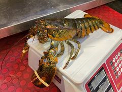 -必点海鲜·鲅鱼水饺(鞍山西道店)