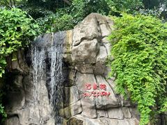 -九龙公园