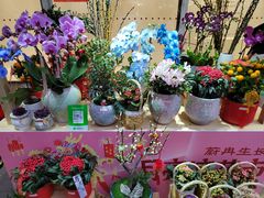 -瑞虹新天地月亮湾