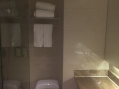 -上海虹梅嘉廷酒店