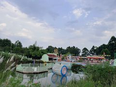 -空港花田景区