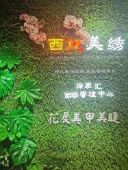 -西施无菌半永久纹绣眉眼影唇轻增发纹发际线