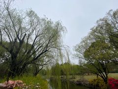 -上海滨江森林公园