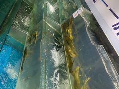 -胖姐渔村(中源大道店)
