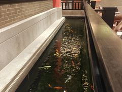 -龙悦湾酒家·八阵鱼生·渔人码头店