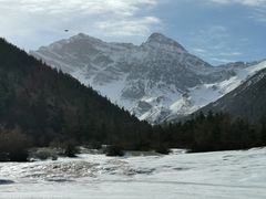 -黄龙山原始森林景区