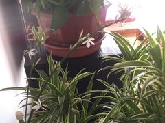 -新湖明珠城