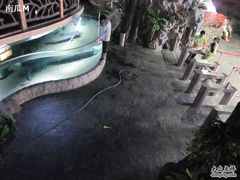 -苏州海洋馆