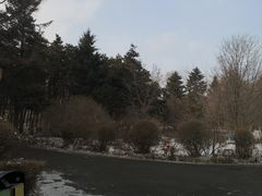 -长春市南湖公园