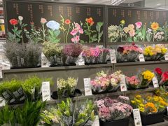 -鹿岛生活(熙地港店)