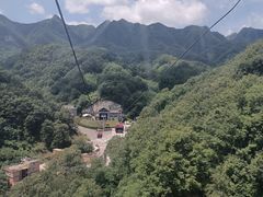 -栾川竹海野生动物园