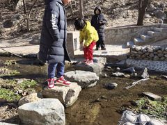 -白水寺森林公园