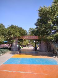 -大望京儿童游乐场