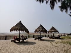 -北海金海湾红树林生态旅游区