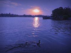 -尼甘布海鲜市场