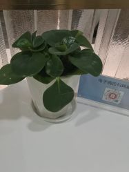 -重庆联合丽格第五医疗美容医院