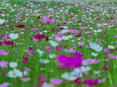 -北沙滩(地铁站)