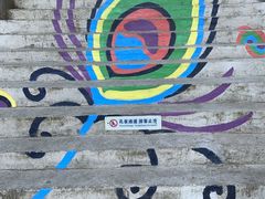 -西双版纳原始森林公园