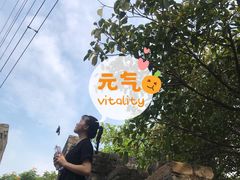 -小南山公园