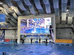 -合肥海洋世界